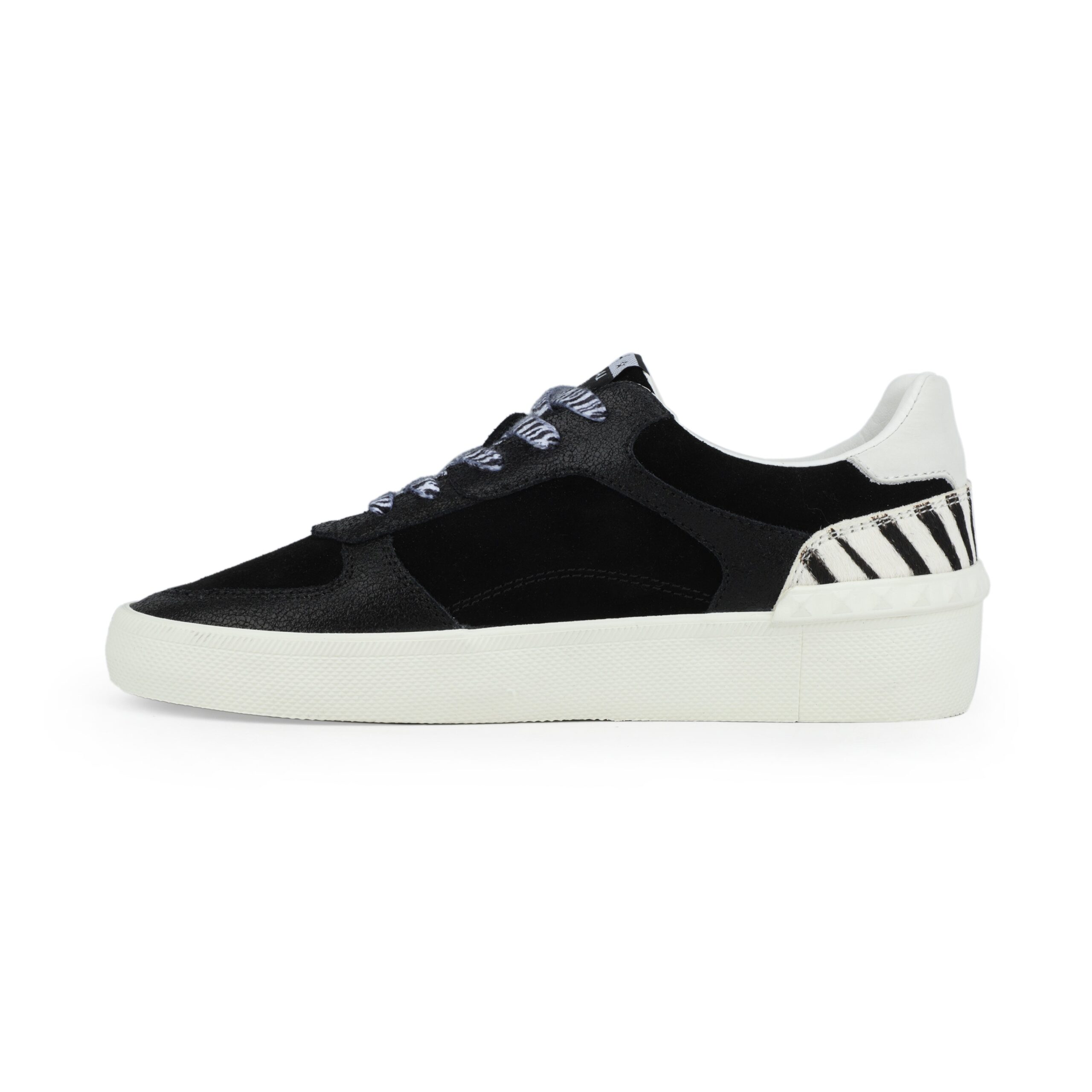 TEMPO - BLACK ZEBRA - Image 5