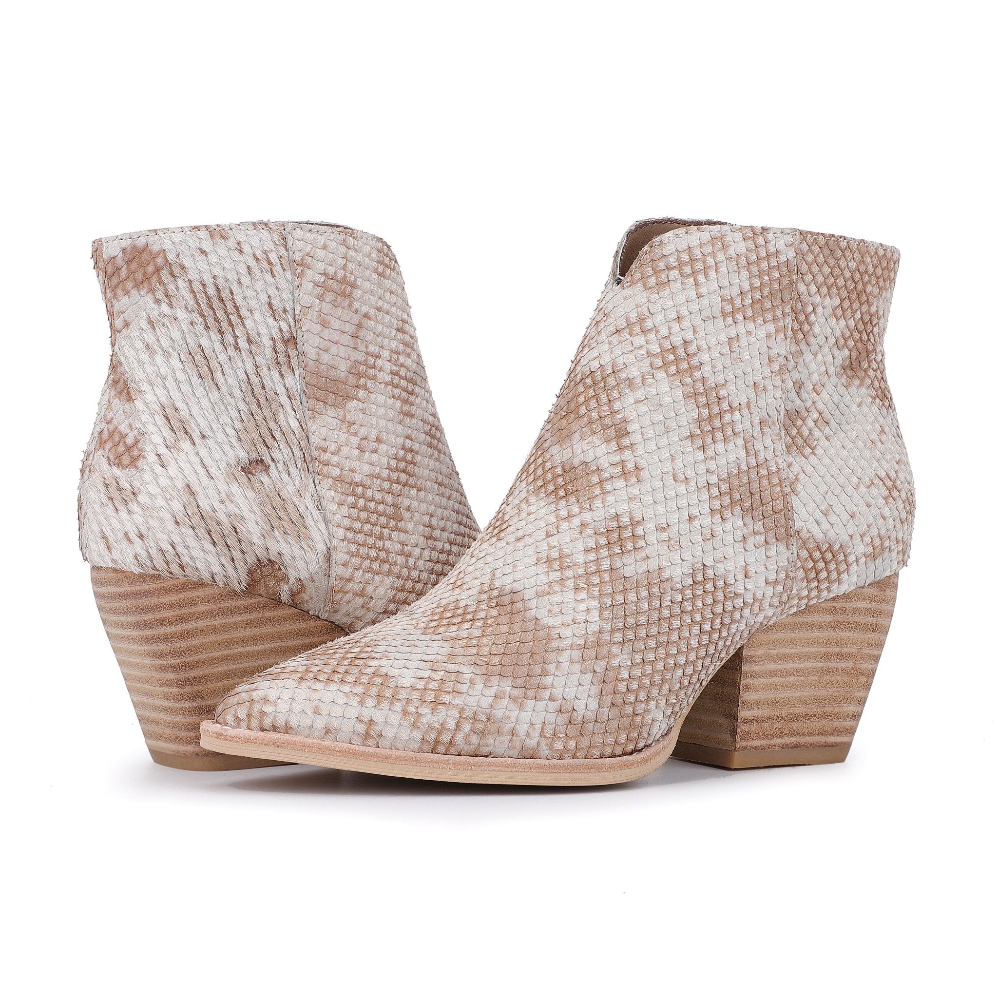 CASSIDY - SNAKE MULTI - Image 3